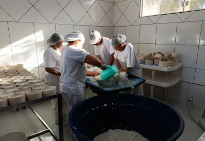 A concessão do registro inclui etapas como análise documental e vistoria do estabelecimento, dentre outras 