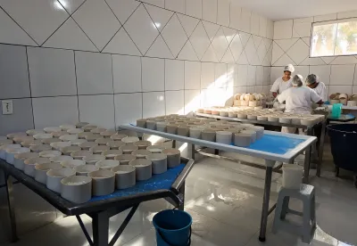 O decreto incorpora tecnologias modernas e reduz exigências, sem abrir mão das normas higiênico-sanitárias