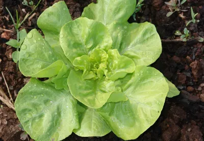arquivo emater