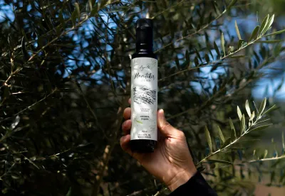 A monovarietal Grappolo 541 é uma cultivar melhorada e adaptada para as condições da Serra da Mantiqueira