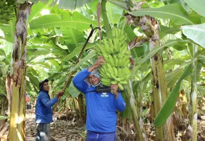 É a primeira vez que uma instituição bancária reconhece os dados gerados pela plataforma para concessão de empréstimo