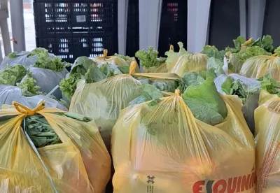 os alimentos são distribuídos para 10 instituições sociais e 6 famílias cadastradas no CRAS do município