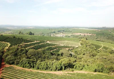 O livro também destaca o papel das instituições que atuam na geração e transferência de conhecimento