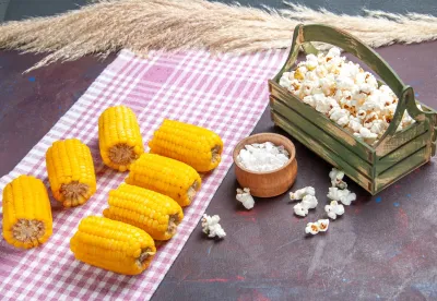 Apesar da tradição originalmente celebrar o trigo, o milho se tornou protagonista dos festejos juninos no Brasil