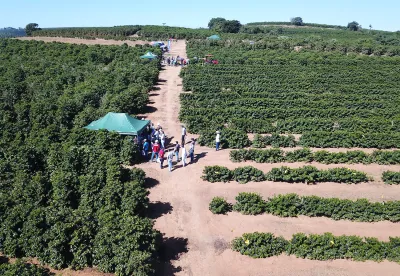 DJI_0042 - Parque Cafeeiro Campo Experimental de Três Pontas - Foto Erasmo Pereira - Ascom EPAMIG