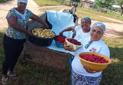 Após obter o SIF, a Unidade de Processamento de Polpa de Frutas do Cerrado, de Ubaí, está ampliando o projeto para atender os mercados institucionais