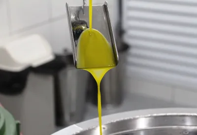 Azeite sendo produzido