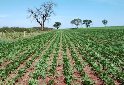 Medida se aplica somente nos casos que não precise fazer intervenção no meio ambiente