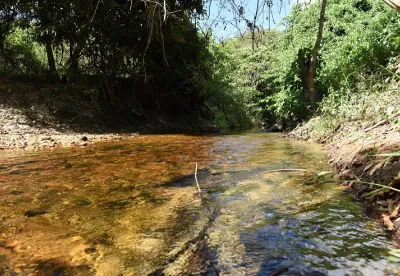 O evento tem o objetivo de promover práticas sustentáveis no meio rural