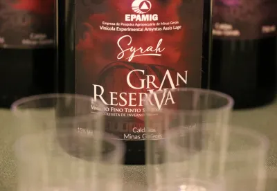 Evento tem como objetivo incentivar a integração entre os setores e fortalecer o turismo rural