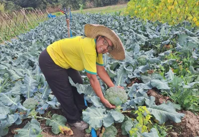 Claudenice Silva comemora as melhorias que obteve na horta