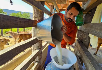 Homem despeja leite de um balde para o tanque