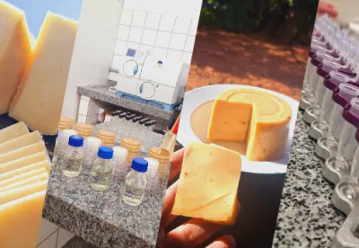 Foto: Arquivo Epamig