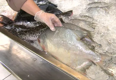 É importante ficar atento na compra para adquirir um produto de boa qualidade.