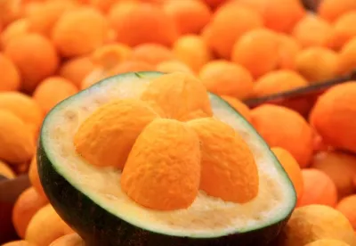 Derivados do pequi estão entre os produtos que serão levados para a Expoalimentaria