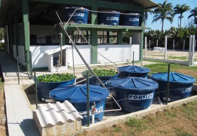 Um dos cursos é voltado para os produtores de tilápia