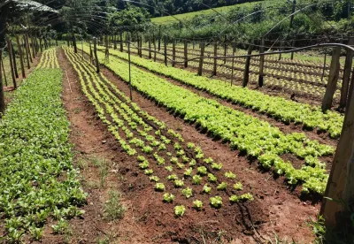 O sucesso do trabalho é fruto de um trabalho integrado 
