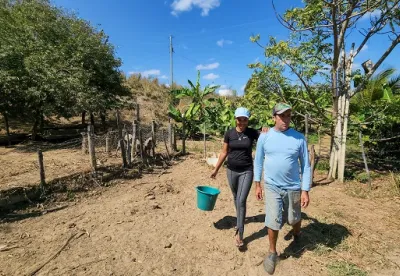 O benefício será pago em parcela única de R$ 1,2 mil para cada produtor