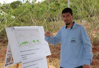 Os participantes acompanharam quatro estações de campo voltadas para o sistema de produção da mandioca