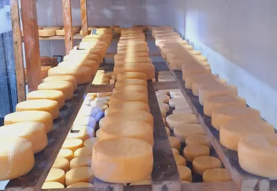 A queijoteca artesanal será armazenada no Centro de Pesquisa e Treinamento em Queijos Artesanais da Epamig em São João del Rei