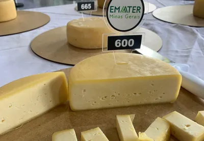 Os queijos artesanais expressam o terroir e a tradição da região em que é produzido