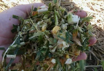 Evento vai apresentar resultados de pesquisas da Epamig