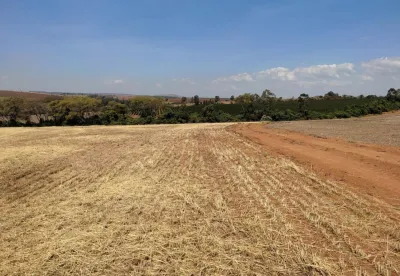 O vazio sanitário da soja é o intervalo de 92 dias, de 1º de julho a 30 de setembro