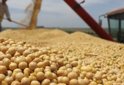  O setor agropecuário apresentou um forte incremento, de 8,3%, em relação ao trimestre imediatamente anterior