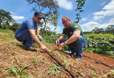Técnico solos saudáveis hortaliça