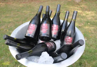 A estimativa é de que o estado produza cerca de 5 milhões de litros de vinhos finos, espumantes e de mesa neste ano