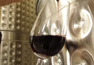 A proposta é levar informações sobre vigor, produtividade, qualidade da uva e do vinho de cultivares francesas e italianas