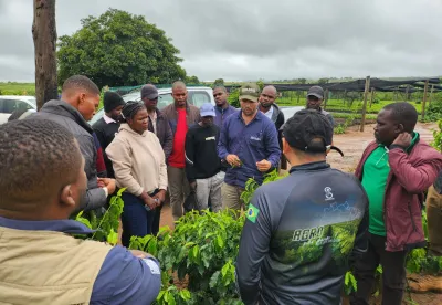 Pesquisadores da Epamig orientam moçambicanos sobre cafeicultura sustentável