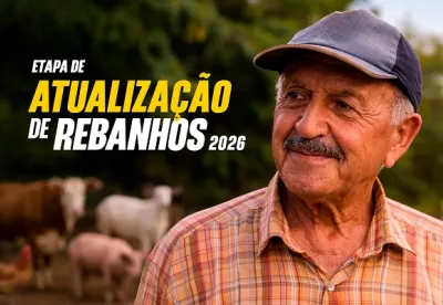 Durante a campanha, os produtores rurais devem informar os dados de todos os animais das propriedades