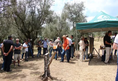 Produtores e pesquisadores na Azeitech
