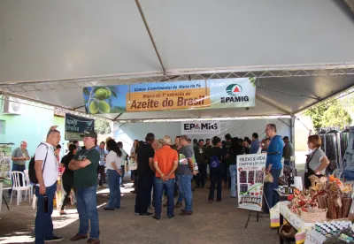 Foto: Arquivo Epamig