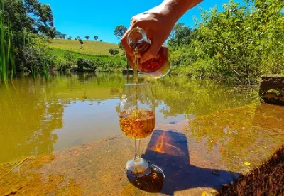 Minas Gerais lidera com folga o ranking nacional de estabelecimentos produtores