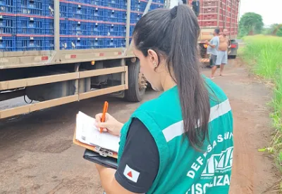 A participação de toda a cadeia produtiva na consulta pública é imprescindível