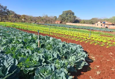 Divulgação Emater-MG