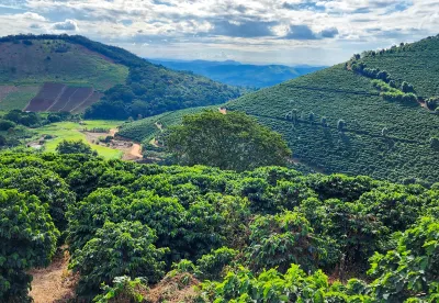 imagem: Diego Vargas