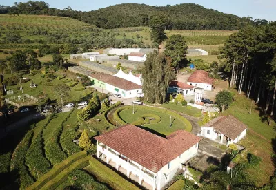 Uso de drones na olivicultura é um dos temas que será abordado