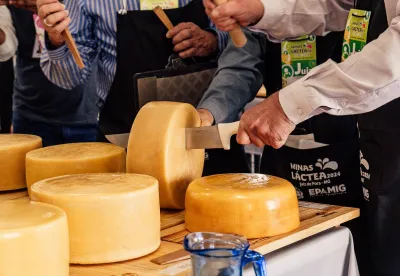 Serão contemplados produtos lácteos não artesanais, elaborados a partir de leite pasteurizado em diversas categorias