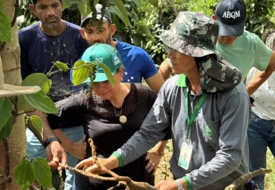 Extensionistas da Emater-MG orientam produtores sobre cultivo de pimenta-do-reino