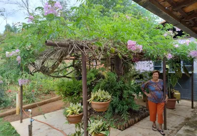 Aos 84 anos, Maria das Graças Polesca Teixeira está à frentes das atividades da fazenda