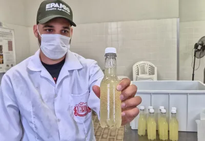 Marcelo Ribeiro- Epamig