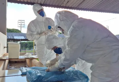 É fundamental o preparo para responder com eficiência caso a emergência sanitária ocorra