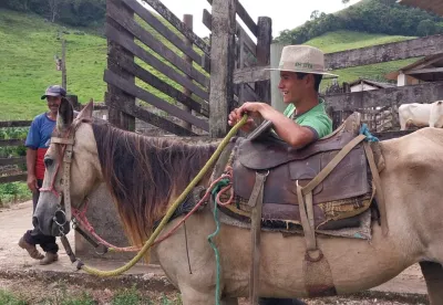 Jovem segue os passos do pai no trabalho no campo: o amor aos cavalos começou na infância