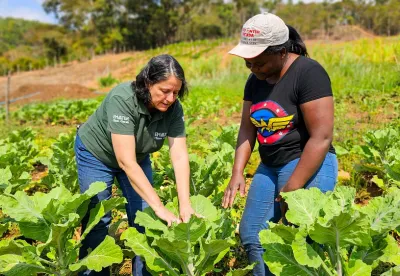 Foram entrevistados, presencialmente, 2 mil produtores rurais de todas as regiões do estado