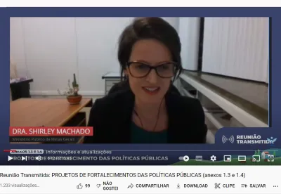 Imagem da transmissão da reunião no Youtube