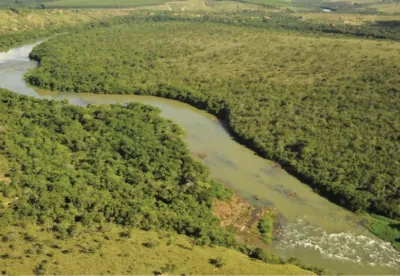 Rio Paraopeba