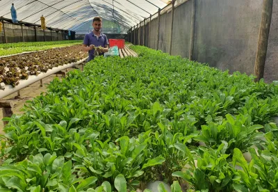 Projeto Fomento Agro
